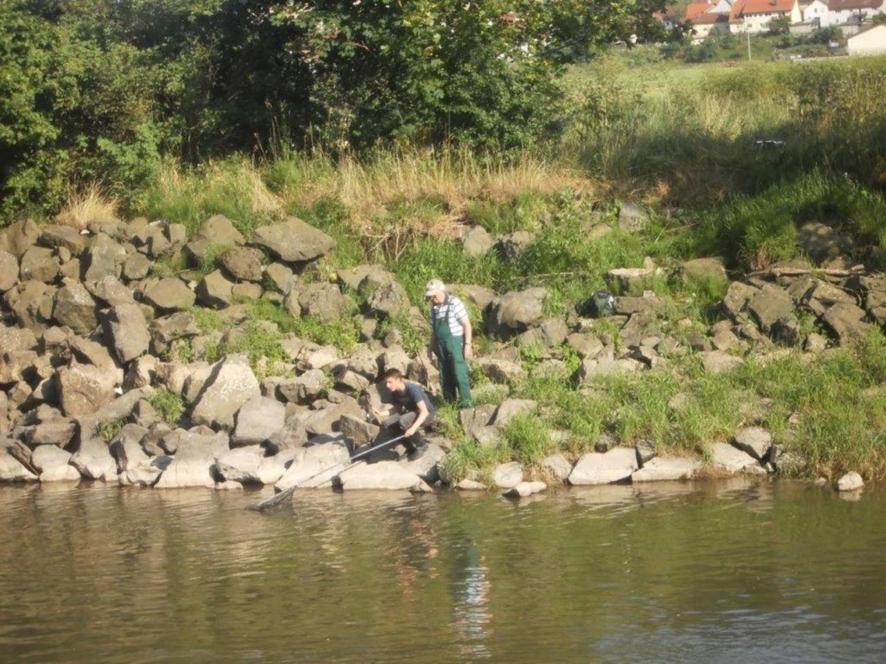 Ferienhof "Die Schenkenau" Bodelstadt Zewnętrze zdjęcie